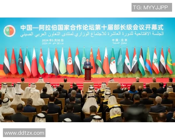 长崎成功丸与心的较量探讨人性与命运的交织与反思