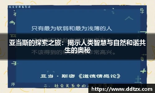 8868体育官网
